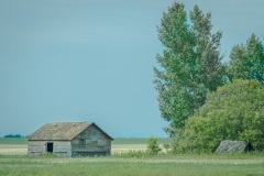 Abandoned-Homestead-near-Clavet
