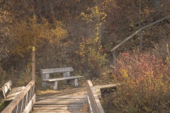 Beaver-Creek-Entrance-to-the-Trail-2