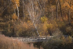 Beaver-Creek-Entrance-to-the-Trail