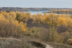 Cranberry-Flats-Panorama