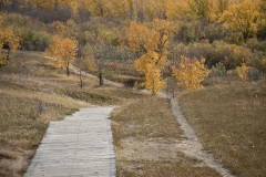 Cranberry-Flats-Steps-to-Autumn-in-the-Valley