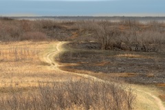 Cranberry-Flats-on-the-trail-to-the-river-3-LR