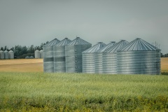 Farm-of-Silos