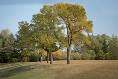 Kinsmen-Park-To-Spadina-and-Queen-2