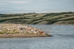 Manitou-Beach-Aug-7-Natural-Flow