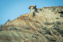 Natures-Art-Jay-or-Cardinal-Drumheller