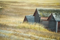 Sinking-Prairie-Community