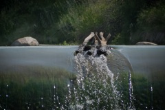 Source-of-the-Water-at-the-weir-LR-1