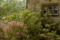 University-of-Sask-Spring