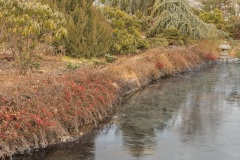 Bank-Japanese-Gardens