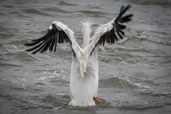 Barbershop-is-Closed-2mb