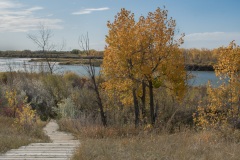 Cranberry-Flats-Steps-to-the-River
