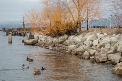 Penticton-Pier-in-the-Distance