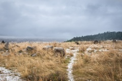 Across-from-near-Holden-Ave